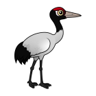 Thumbnail of Birdorable Black-necked Crane 