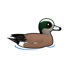 Thumbnail of Birdorable American Wigeon 