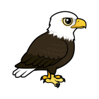Thumbnail of Birdorable Bald Eagle 