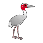 Thumbnail of Birdorable Sarus Crane 