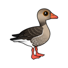 Thumbnail of Birdorable Graylag Goose 