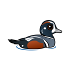 Thumbnail of Birdorable Harlequin Duck 