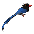 Thumbnail of Birdorable Red-billed Blue-Magpie 