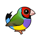 Thumbnail of Birdorable Gouldian Finch Red-headed
