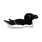 Thumbnail of Birdorable Razorbill 