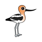 Thumbnail of Birdorable American Avocet 
