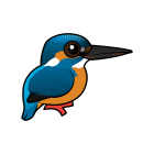 Thumbnail of Birdorable Common Kingfisher 