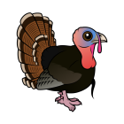 Thumbnail of Birdorable Wild Turkey 
