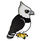 Thumbnail of Birdorable Harpy Eagle 
