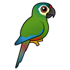 Thumbnail of Birdorable Blue-winged Macaw 