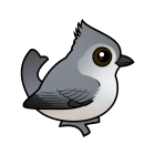 Thumbnail of Birdorable Juniper Titmouse 