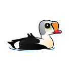 Thumbnail of Birdorable King Eider 