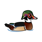 Thumbnail of Birdorable Wood Duck 