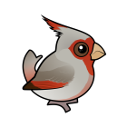 Thumbnail of Birdorable Pyrrhuloxia 