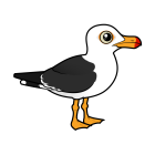 Thumbnail of Birdorable Pacific Gull 