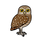 Thumbnail of Birdorable Burrowing Owl 
