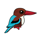 Thumbnail of Birdorable White-throated Kingfisher 