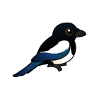 Thumbnail of Birdorable Black-billed Magpie 
