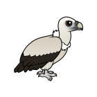 Thumbnail of Birdorable Himalayan Vulture 