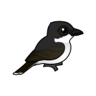 Thumbnail of Birdorable Eastern Kingbird 