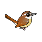 Thumbnail of Birdorable Carolina Wren 
