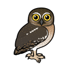 Thumbnail of Birdorable Elf Owl 