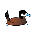Thumbnail of Birdorable Ruddy Duck 