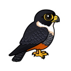 Thumbnail of Birdorable Bat Falcon 