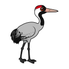 Thumbnail of Birdorable Common Crane 