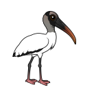 Thumbnail of Birdorable Wood Stork 