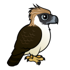 Thumbnail of Birdorable Philippine Eagle 