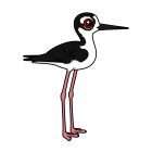 Thumbnail of Birdorable Black-necked Stilt 