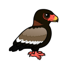 Thumbnail of Birdorable Bateleur 