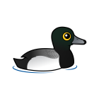 Thumbnail of Birdorable Greater Scaup 