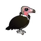 Thumbnail of Birdorable Hooded Vulture 