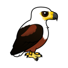 Thumbnail of Birdorable African Fish-Eagle 