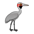 Thumbnail of Birdorable Brolga 