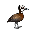 Thumbnail of Birdorable White-faced Whistling-Duck 