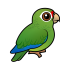 Thumbnail of Birdorable Puerto Rican Amazon 