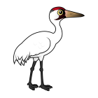 Thumbnail of Birdorable Whooping Crane 