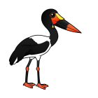 Thumbnail of Birdorable Saddle-billed Stork 