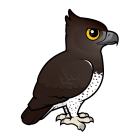 Thumbnail of Birdorable Martial Eagle 