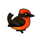 Thumbnail of Birdorable Vermilion Flycatcher 