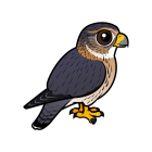 Thumbnail of Birdorable Merlin 