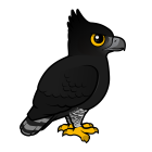 Thumbnail of Birdorable Black Hawk-Eagle 