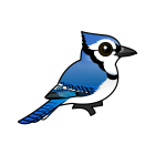 Thumbnail of Birdorable Blue Jay 