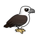 Thumbnail of Birdorable White-bellied Sea Eagle 