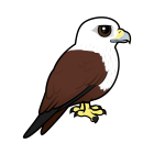 Thumbnail of Birdorable Brahminy Kite 