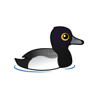 Thumbnail of Birdorable Lesser Scaup 