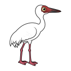 Thumbnail of Birdorable Siberian Crane 